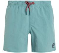 Arctic Green Protest Culture 14´´ Swimming Shorts Grün 164 cm Junge