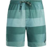 Protest - Lomond Badeshorts Herren dark teal