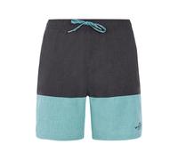 PROTEST PRTFreddie beachshort Arcticgreen S
