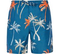 PROTEST PRTHEAR 19 Boardshort 2025 raku blue - S