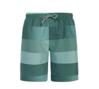 Protest PRTJames Kinder Badehose, grau 164