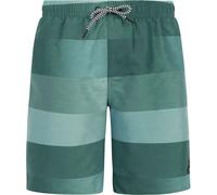 Protest PRTJames Kinder Badehose, grau 152