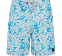 Protest PRTPedro Herren Badehose, blau S