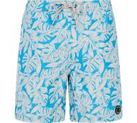 Protest PRTPedro Herren Badehose, blau S