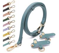 PU Pelle T Ledertaschenriemen Taschengurte für Kleine Taschen Leder Schulterriemen Tragegurte Tragegurt für Longchamp Goldener Hardware Bag Strap aquamarin