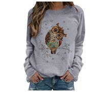 Pullover Damen Tier Drucken Teenager MäDchen Sweatshirt Mit Eulen Muster Langarmshirt Herbst Winter Rundhals Langarm Shirts Pulli Bluse Tops Jumper Owl Print Sweater Oberteile