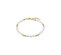 PULSEIRA Lotus, AÇO