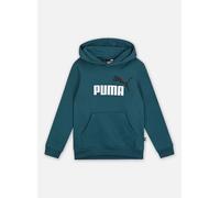 Ess+ 2 Col Big Logo Hoodie Fl B by Puma 6A