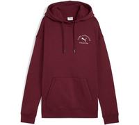 Puma Kapuzenpullover Class Relaxed FL Rubinshimmer XL