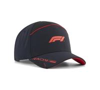 Flex Cap PUMA "F1 Lifestyle Baseball-Cap Erwachsene", Gr. onesize, schwarz, Obermaterial: 11% Elasthan, 89% Polyester. Futter: 100% Polyester. Einsatz: 100% Polyester, unifarben, Caps (84686111-0) sch