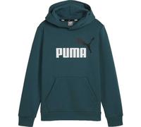 Puma ESS + 2 COL BIG LOGO HOODIE FL B Jungen Kapuzenpullover, grün, größe 140