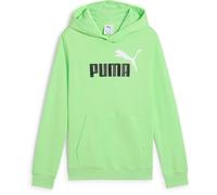 Puma Ess 2 Color Nº1 Logo Kapuzenpullover 14-16 Jahre Spring Fern