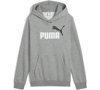 Puma ESS 2 Color No. 1 Logo FL Jungen Kapuzensweater, grau 152