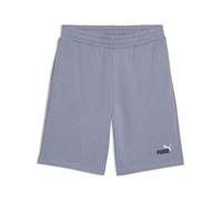 Puma Essentials 2 Color No. 1 Logo Shorts 10" TR gray sky (65) S