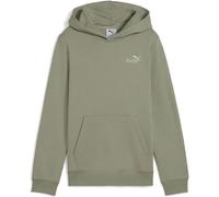 Puma ESS 2 Color Small No. 1 Logo FL Jungen Kapuzensweater, grün 176