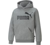 Puma ESS Big Logo FL Jungen Sweatshirt, grau 116