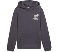 Puma Ess+ MID 90s FL Jungen Kapuzensweater, grau 128