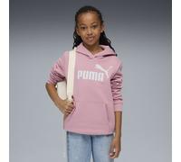 ESS No. 1 Logo Hoodie FL Puma 176