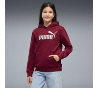 Puma Essential Nº1 Logo Kapuzenpullover