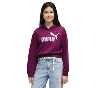 Puma Essential 2 Color Nº1 Logo Short Length Tr Kapuzenpullover