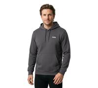Puma Essentials 2 Color Small No 1 Logo Hoodie FL moody gray (77) L