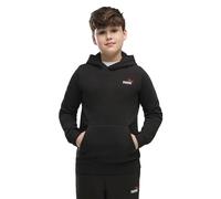 Puma Essential 2 Color Small Nº1 Logo Kapuzenpullover