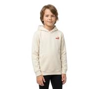 Puma Essential Logo Lab Brand Back Graphic Kapuzenpullover