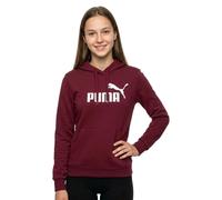 Puma Essential Nº1 Logo Kapuzenpullover