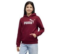 Puma Essential Nº1 Logo Kapuzenpullover