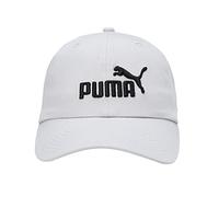 PUMA Essential No.1 BB Cap Platinum Gray