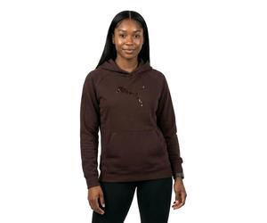 Puma Essential Sequins Standard Kapuzenpullover