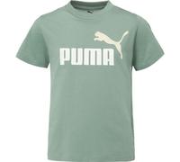 Puma ESSENTIALS 2 COLOR N0.1 LOGO TEE B Jungen T-Shirt, grün, größe 140