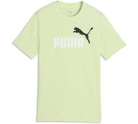 Puma ESSENTIALS 2 COLOR N0.1 LOGO TEE B Jungen T-Shirt, hellgrün, größe 164
