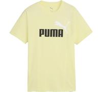 Puma ESSENTIALS 2 COLOR N0.1 LOGO TEE B Jungen T-Shirt, hellgrün, größe 164