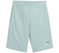 Puma ESS 2 Color No. 1 Logo 10" TR Herren Shorts, grün S