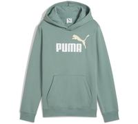 PUMA Essentials 2 Color No. 1 Logo Fleece Hoodie Jungen 30 - green moon 140
