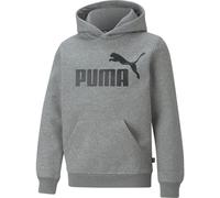 ESS Big Logo Hoodie Puma 140