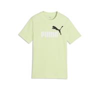 PUMA Essentials Colour No.1 Logo T-Shirt Teenager, Accessoires, Grün, 5-6Y