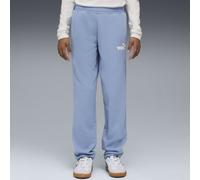 PUMA Essentials Nature 2.0 No. 1 Logo Straight Hose Teenager, Kleidung, Blau, 11-12Y Blue