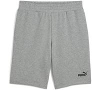 Puma ESSENTIALS NO. 1 SHORTS 10 Herrenshorts, grau, größe XXL