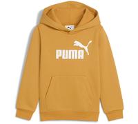 PUMA Essentials No. 1 Logo Fleece Hoodie Jungen 62 - archive gold 116