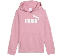 ESS No. 1 Logo Hoodie FL Puma 176