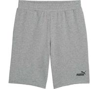 Puma ESSENTIALS NO. 1 SHORTS 10 Herrenshorts, grau, größe XXL