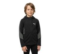 Puma Evostripe Dk Reißverschlusspullover