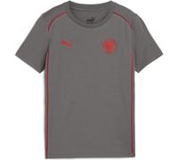 Puma Fcsp Casuals Tee Jr flat medium gray-puma red (06) 176