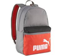PUMA Freizeittasche PHASE COLOR BLOCK Backpack (091175) ONE SIZE Grau