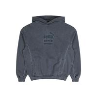 Puma Graphic Hoodie Grau in Größe 2XL