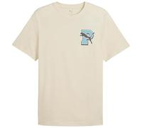 Puma Graphic Varsity Tee alpine snow (87) L