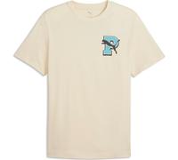 Puma Graphic Varsity Tee alpine snow (87) XL
