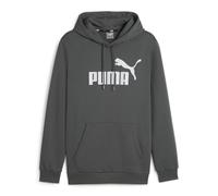 Puma Herren Kapuzenpullover Essentials Big Logo Hoodie 586687-69 L Mineral Gray